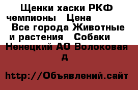Щенки хаски РКФ чемпионы › Цена ­ 90 000 - Все города Животные и растения » Собаки   . Ненецкий АО,Волоковая д.